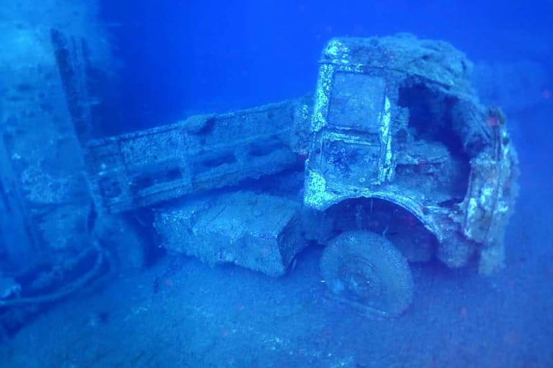 Zenobia Wreck: Private Guided Dive - Marine Life and Scenic Beauty