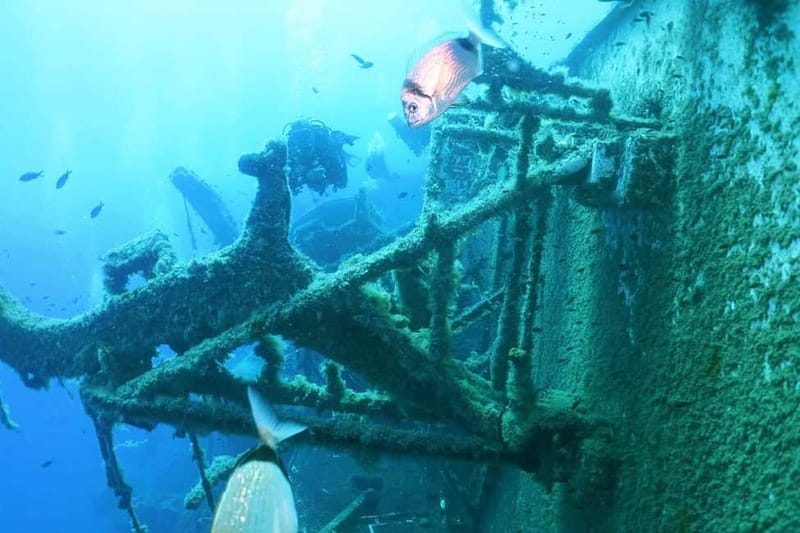 Zenobia Wreck: Private Guided Dive - Final Thoughts