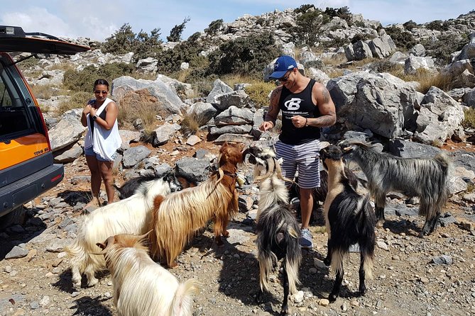 Zeus Cave & Lassithi Plateau (Safari Adventure Offroad Excursion) - Cancellation Policy