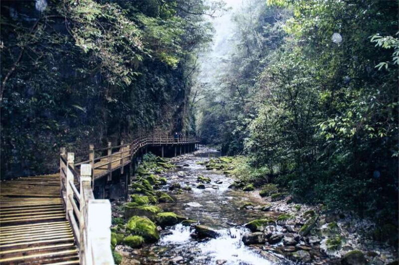 Zhangjiajie: VIP Zhangjiajie National Forest Park Day Tour - Key Points