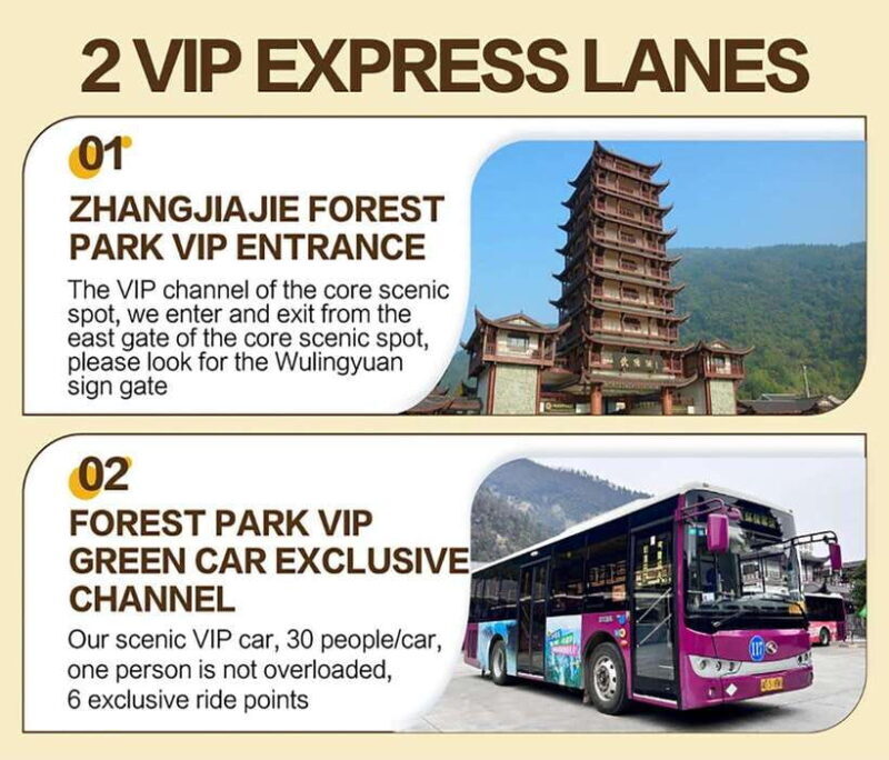 Zhangjiajie: VIP Zhangjiajie National Forest Park Day Tour - An In-Depth Look at the Zhangjiajie VIP Experience