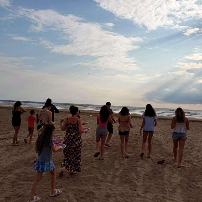 Zihuatanejo, Guerrero: Turtle Release Experience - The Sum Up