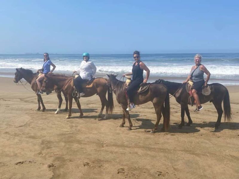 Zihuatanejo: Horseback Riding Tour with Playa Larga Beach - Who Might Not Love This
