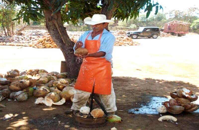 Zihuatanejo Ixtapa: City Tour - Who Would Enjoy This Tour?