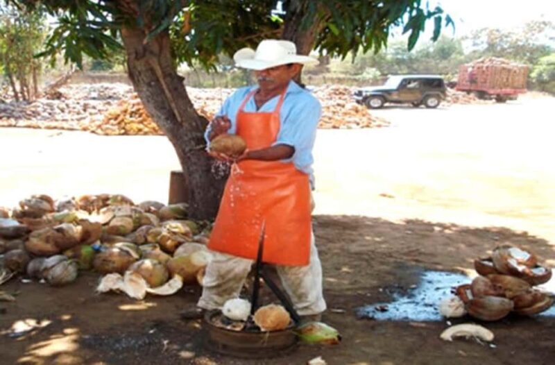 Zihuatanejo Ixtapa: Super Combo Tour - Who This Tour Is Best For