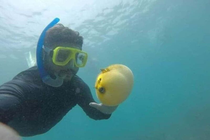 Zihuatanejo: Las Gatas Beach Snorkeling and Kayaking Tour - Pricing and Value