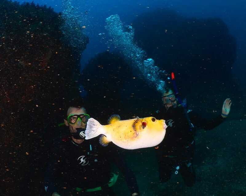 Zihuatanejo: Moonlit Dive at Las Gatas - Exploring the Underwater World at Night