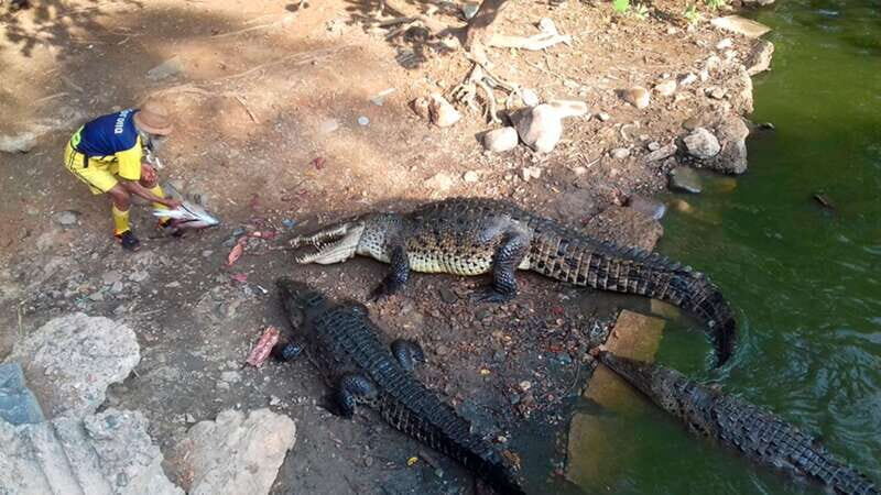 Zihuatanejo: Snorkeling Trip to Ixtapa Island with Lunch - Who Will Enjoy This Tour?