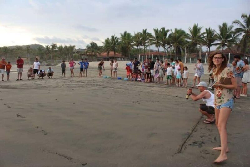 Zihuatanejo: Troncones,Manzanillo Bayband Majahua Beach Tour - Exploring the Beaches of Troncones, Manzanillo Bay, and Majahua