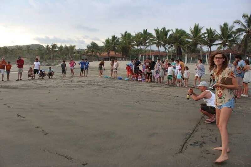 Zihuatanejo: Troncones,Manzanillo Bayband Majahua Beach Tour - Transportation, Comfort, and Group Size
