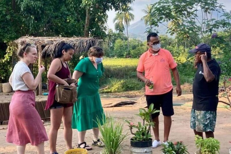 Zihuatanejo: Xihuacan Archaeological Tour with Museum Visit - Who Might Not Find It Ideal?