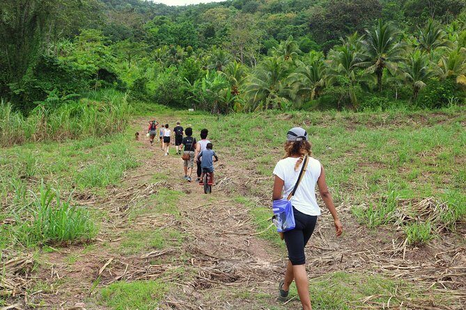 Zimbali's Rasta Tour Lunch - What to Expect from the Zimbali Rasta Tour Lunch