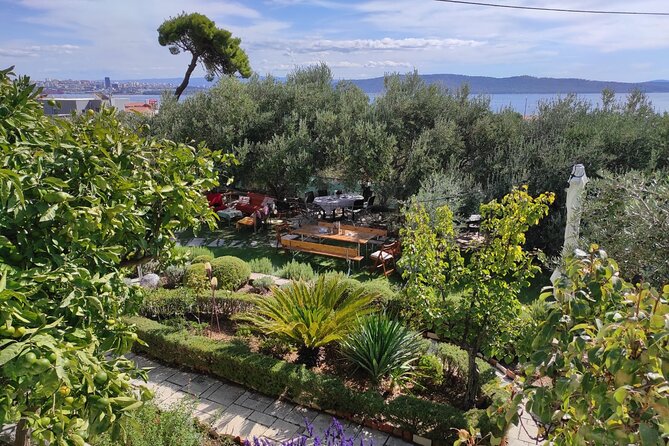Zinfandel Wine Tasting & Storytelling With Dalmatian Food - Guest Reviews