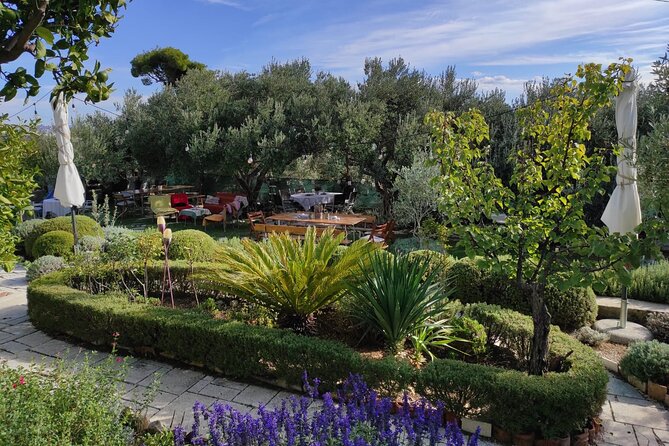 Zinfandel Wine Tasting & Storytelling With Dalmatian Food - Unforgettable Sensory Experience