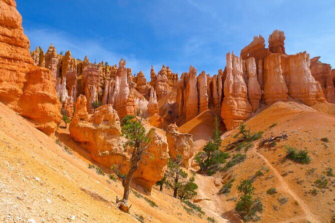 Zion, Bryce, Antelope, Grand Canyon, Las Vegas 6-Day Tour from SF - Key Points