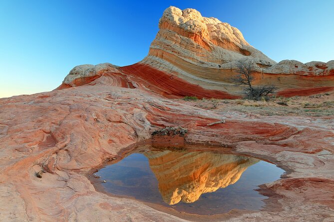 Zion, Bryce Canyon & Wave Valley Arizona: Small Group 4-Day Tour - Things To Known