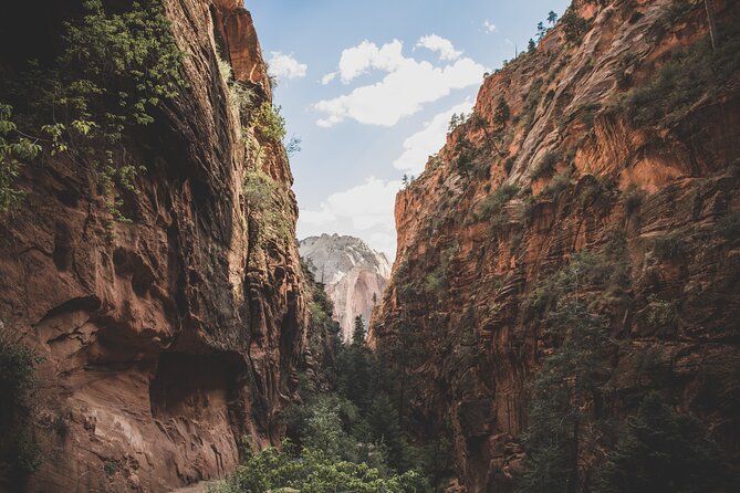 Zion Full Day Small Group Tour With Narrows - Tips for a Great Experience