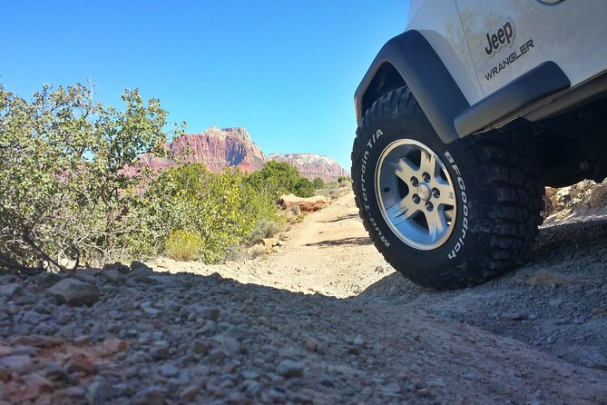 Zion Jeep Tour Premium Package - Morning Tour - Traveler Feedback