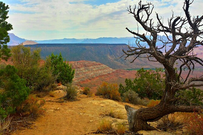 Zion Jeep Tour Premium Package - Morning Tour - Booking Information