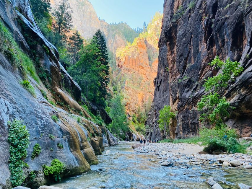 Zion Narrows - Guided Hike and Picnic - Lunch
