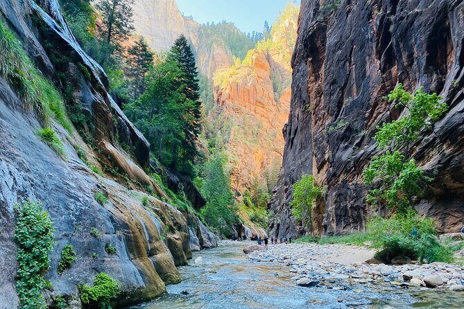 Zion Narrows - Small Mixed Group Tour - An In-Depth Look at the Zion Narrows Tour