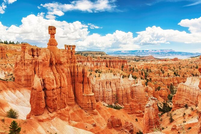 Zion National Park, Bryce Canyon National Park Day Tour - Key Points
