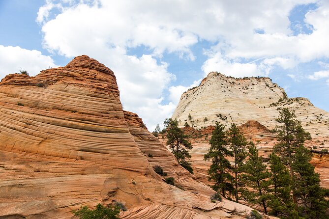Zion National Park, Bryce Canyon National Park Day Tour - Things To Known