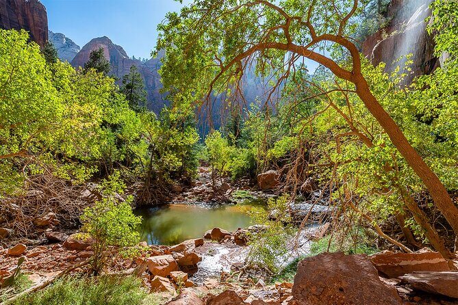 Zion National Park by Tour Trekker - In The Sum Up