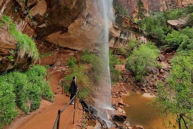 Zion National Park Full-Day Insider Tour - A Deep Dive into the Zion Full-Day Insider Tour