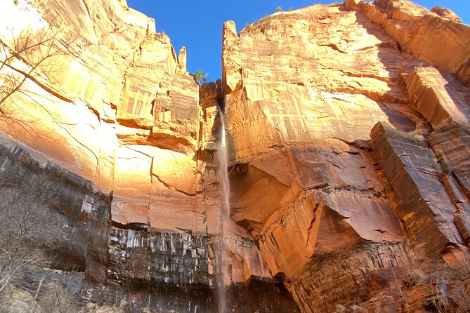 Zion National Park: Private Guided Hike & Picnic - Traveler Testimonials and Experiences