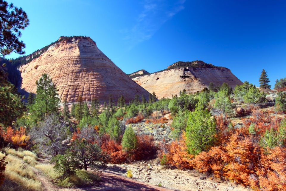 Zion National Park: Self-Driving Audio Guided Tour - Highlights of the Tour