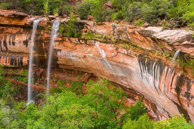 Zion National Park Self-Guided Driving & Shuttling Tour - The Grotto Picnic Area and Weeping Rock