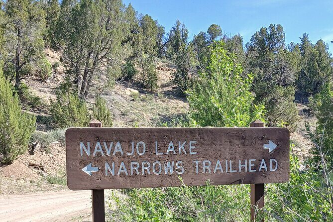 Zion National Park: Shuttle Service - Why This Shuttle Service Is a Solid Choice