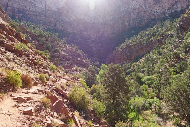 Zion National Park Small Group Tour From Las Vegas - Itinerary and Inclusions
