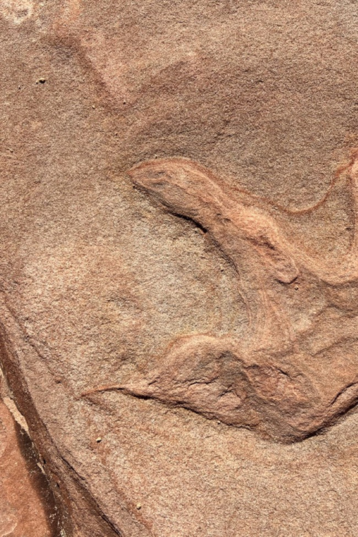 Zion National Park: UTV Outback Tour - Guided Tour Details