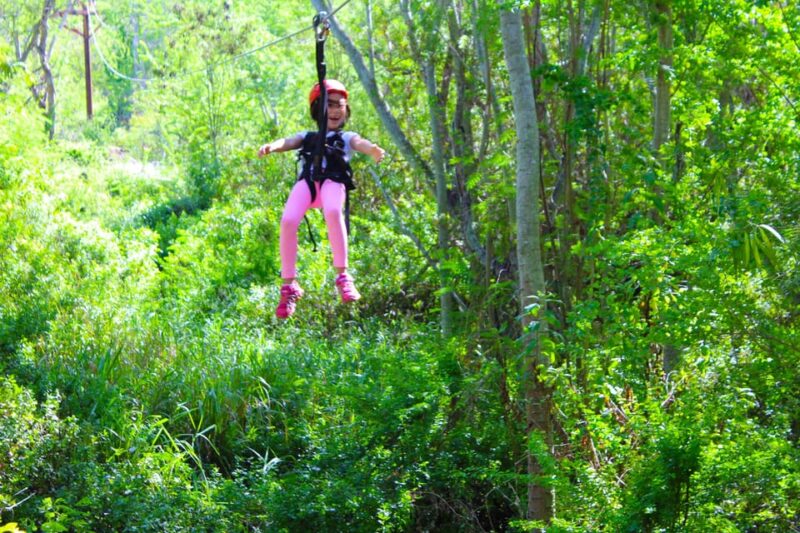Zip & Dip: 3 Ziplines + Wet N Wild Hawaii Waterpark - Key Points