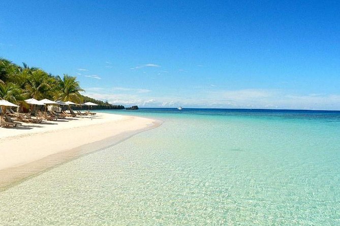 Zip Line + Animals Park +Island Tours & Beach Break - Transportation and Safety