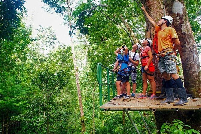 Zip Line - Half Day Adventure - What the Reviews Say