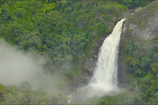 Zip Line Medellin - Pricing and Booking