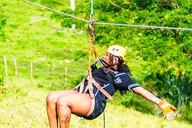 Zip Line Mountain Ride - An In-Depth Look at the Zip Line Mountain Ride Experience