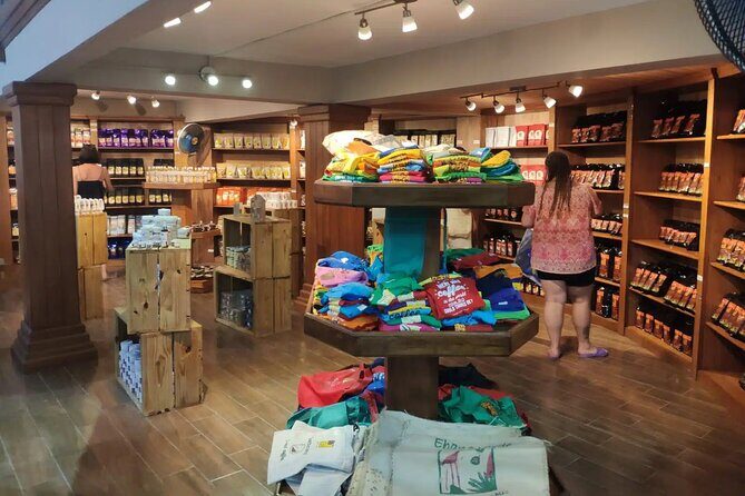 Zip Line or Zip Line Canopy Adventure in Punta Cana - The Itinerary: From Arrival to Return