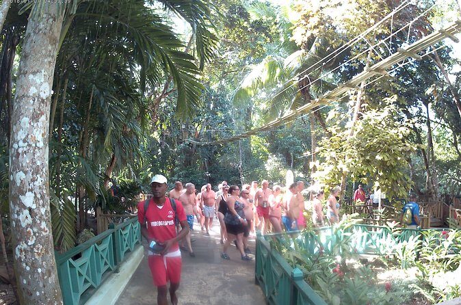 Zip Line over the Dunns River Falls - The Sum Up