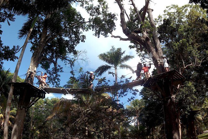 Zip Line over the Dunns River Falls - FAQs