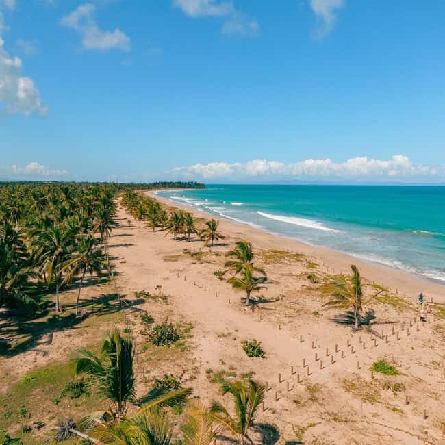 Zip Line Playa Esmeralda With Redonda Mountain - The Sum Up