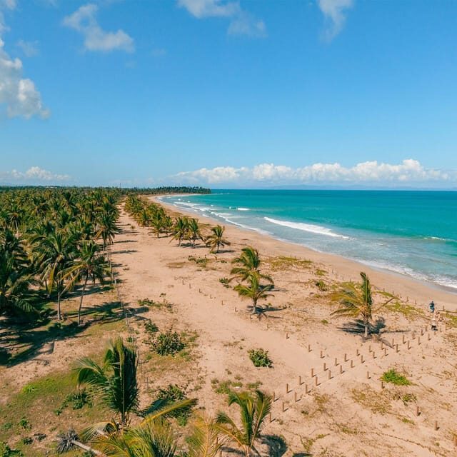 Zip Line Playa Esmeralda With Redonda Mountain - FAQ