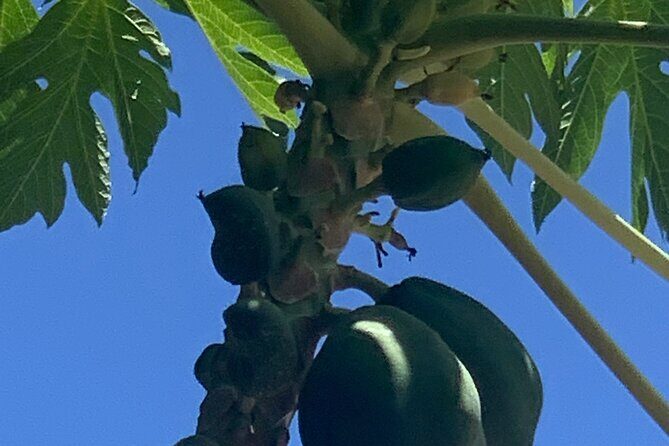 Zip line with 7 waterfall - FAQs