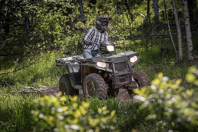 Zip-lining/Horseback Rides/Cat & Atv Inclusive Act with Transpo From Montego Bay - What to Expect: A Full Day of Adventure