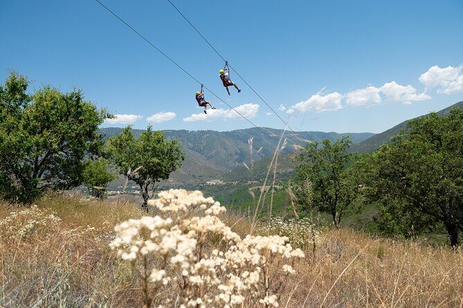 Zip Zoom Ziplines at La Jolla Indian Adventure Park - The Sum Up