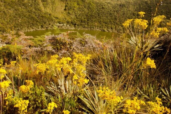 Zipaquira Salt Cathedral and Lake Guatavita - Booking and Tour Options