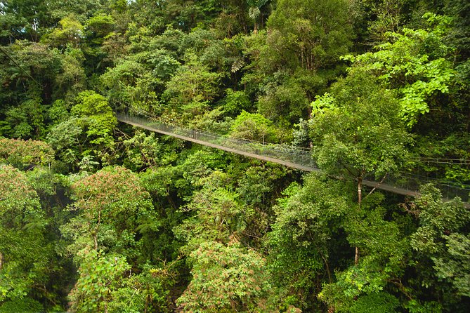 Zipline Adventure San Luis From San José - Accessibility Considerations